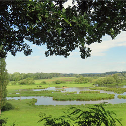 Homburg (Stadt) - Amt für Wirtschaftsförderung und Stadtmarketing - powered by Bscout® - Faire Suchmaschine & Netzwerk!